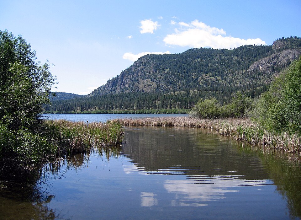 Vaseux Lake
