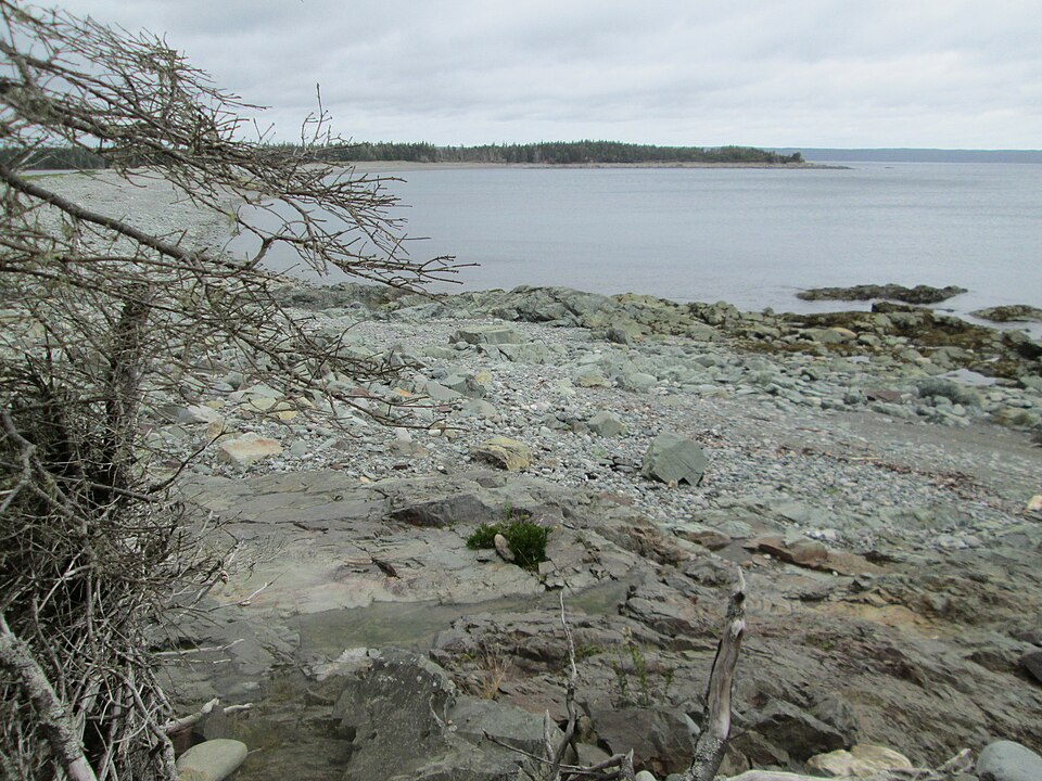 Gabarus Wildnerness Area, Cape Breton, NS (29338297556)