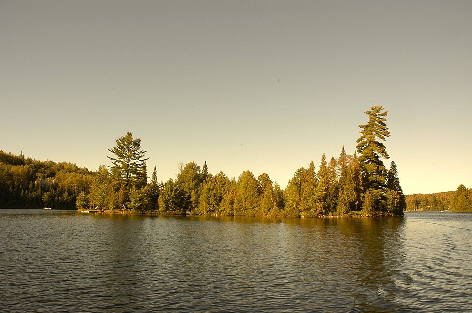 Ile, Grand Lac-Long, St-Elie-de-Caxton - panoramio