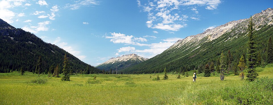 Meadow, South Chilcotin Mountains
