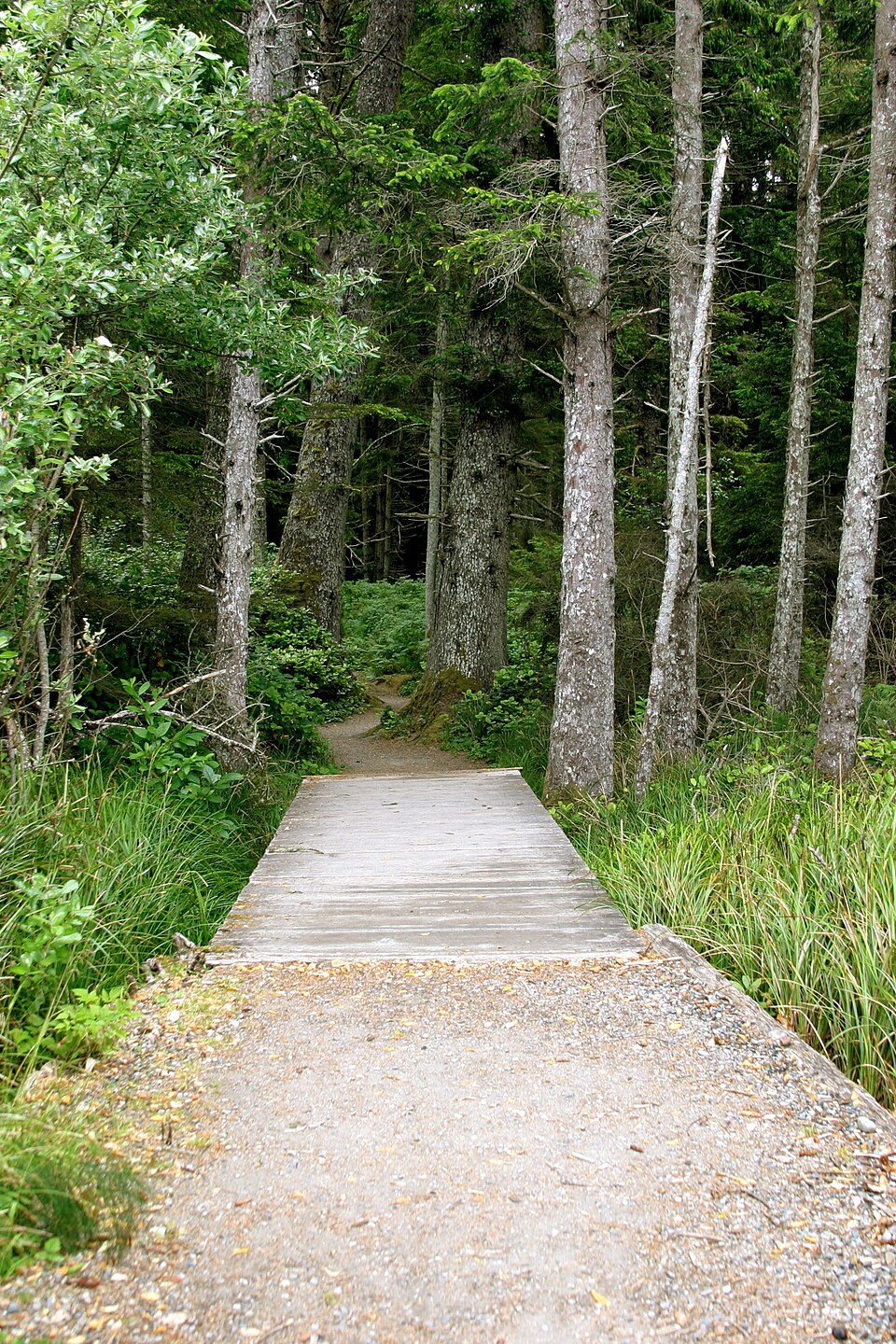 Path at French Beach BC Canada - panoramio