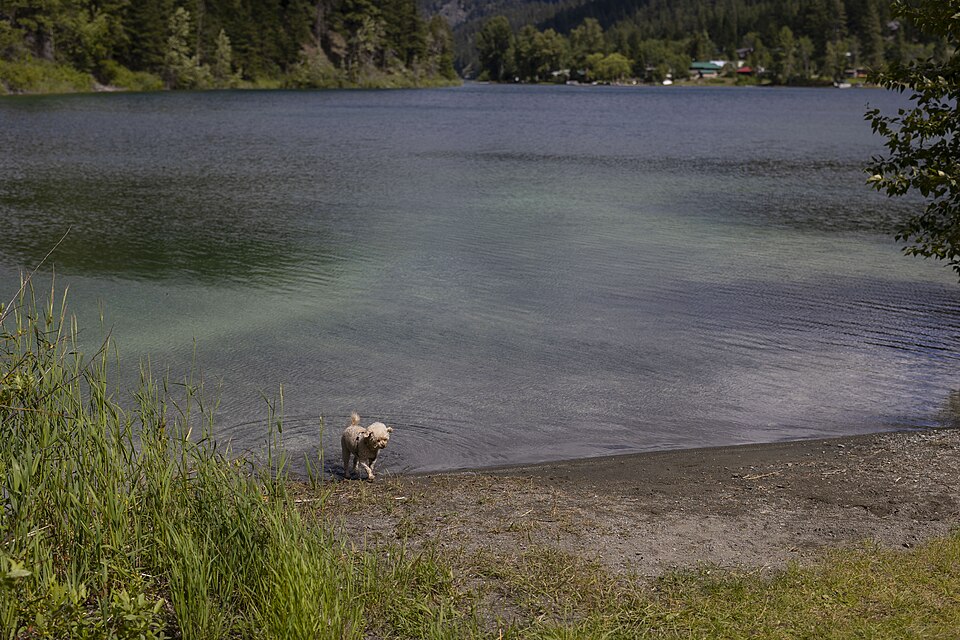 Allison Lake Provincial Park, July 10th, 2022 (52207408497)