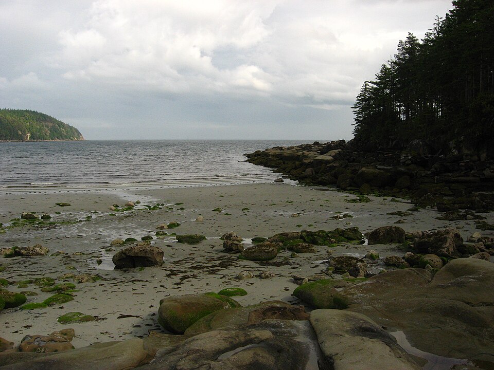 Tribune Bay, Hornby Is