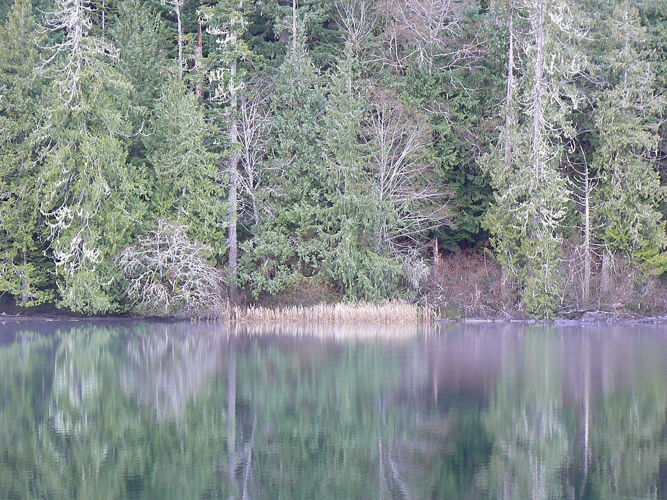 Cameron Lake in Winter