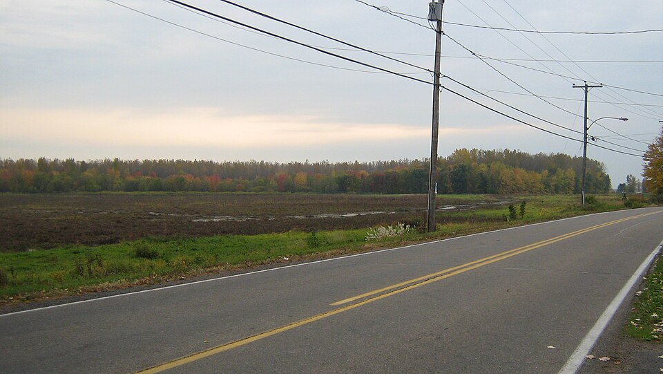 Réserve écologique Marcel-Léger
