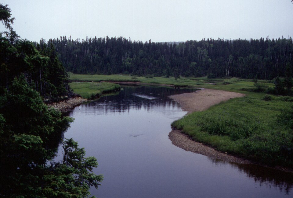 084 TERRA NOVA NP