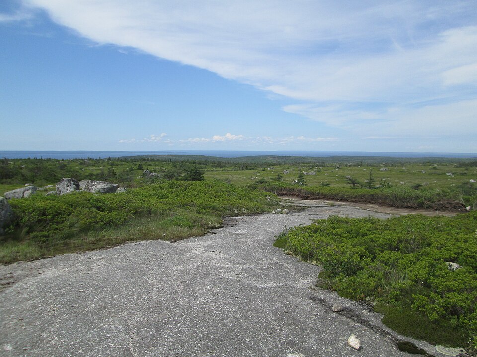 Canso Coastal Barrens, NS (34864552984)