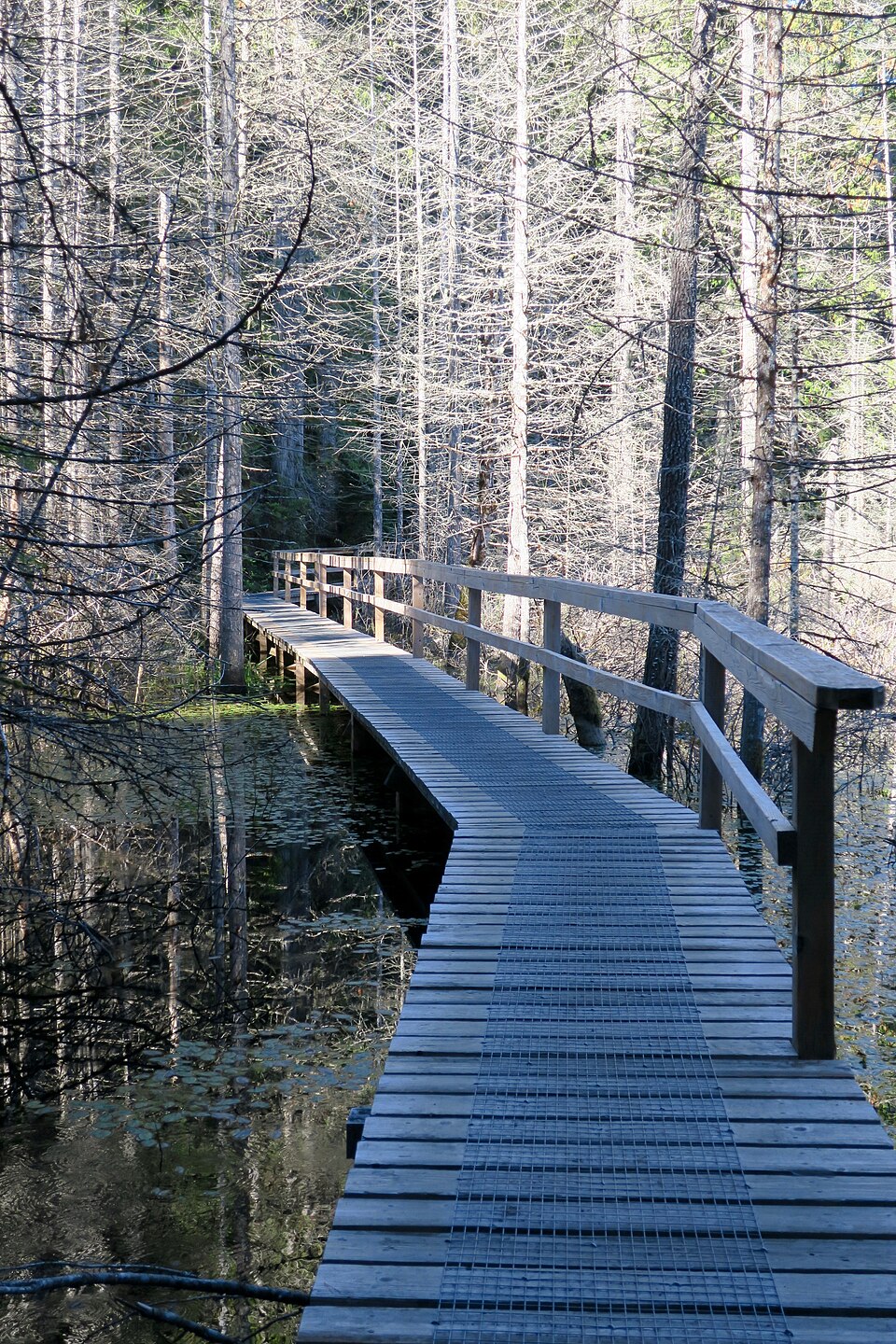Smuggler Cove Marine Provincial Park 02