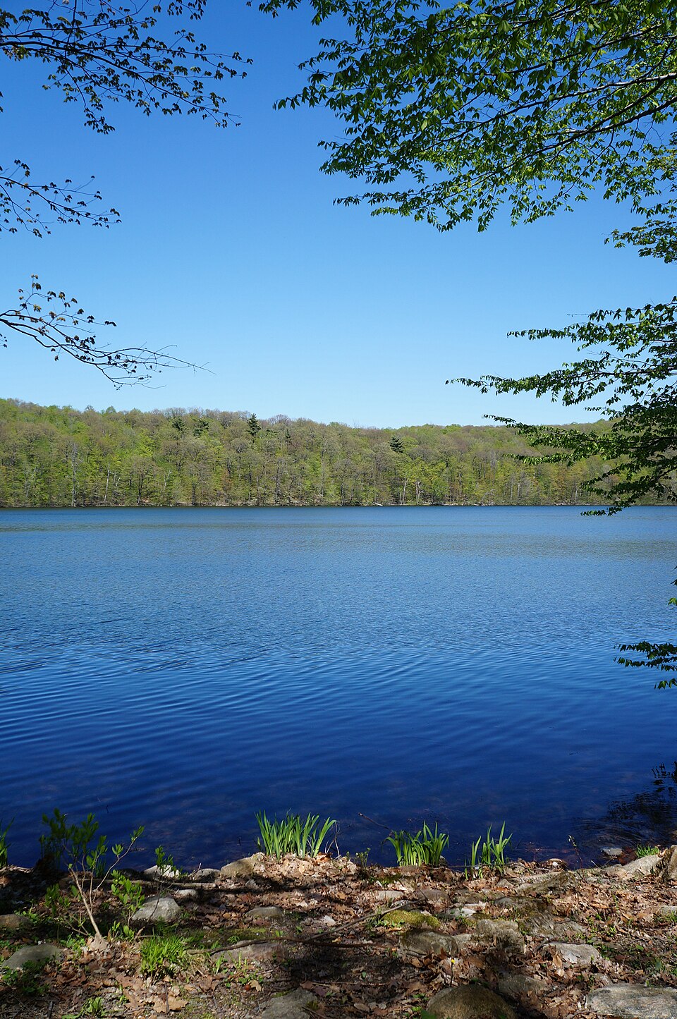 Lac des Bouleaux - panoramio