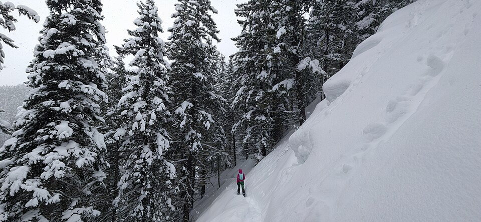 Snowshoer on a hillside in E. C. Manning Provincial Park