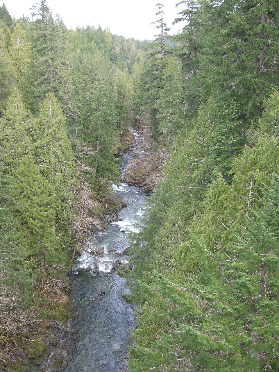 2012.03.25 Koksilah River in spring