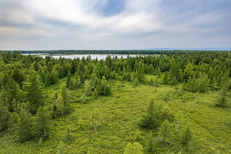 Plée Lac Beaumont 02
