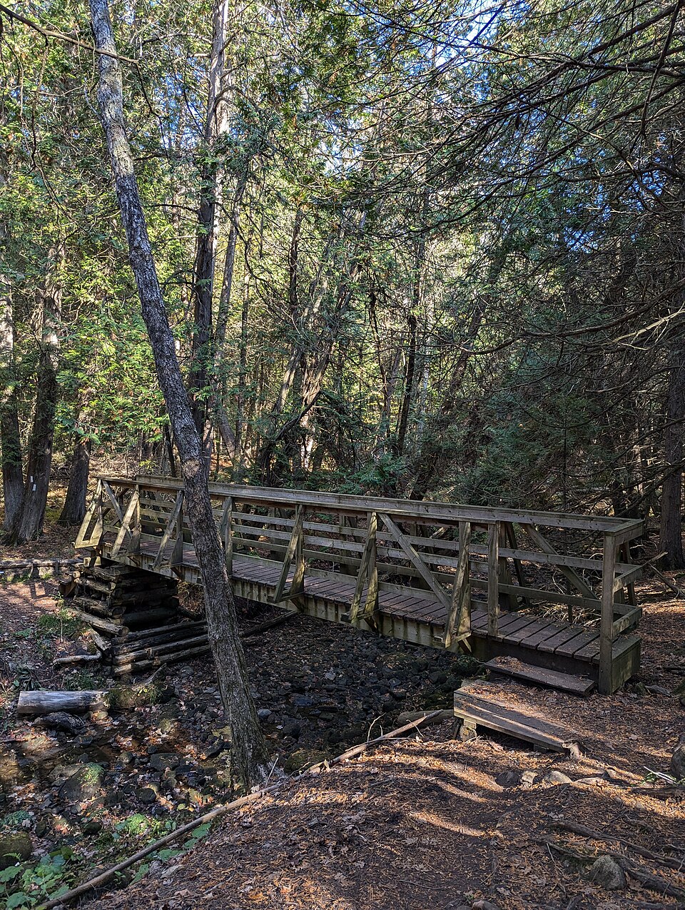 Hockley Valley Provincial Nature Reserve - 20241020-155923676