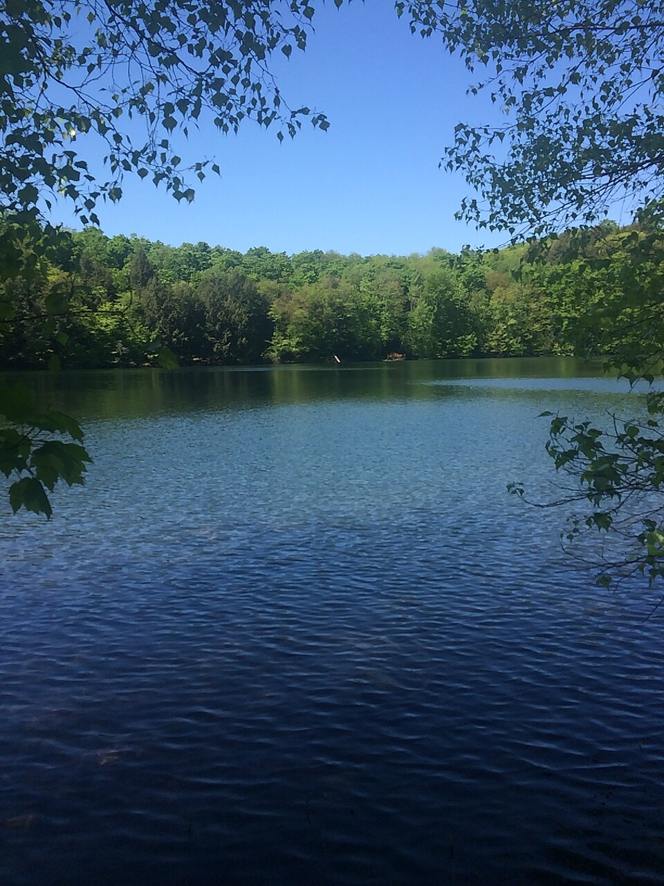 Lac Gale