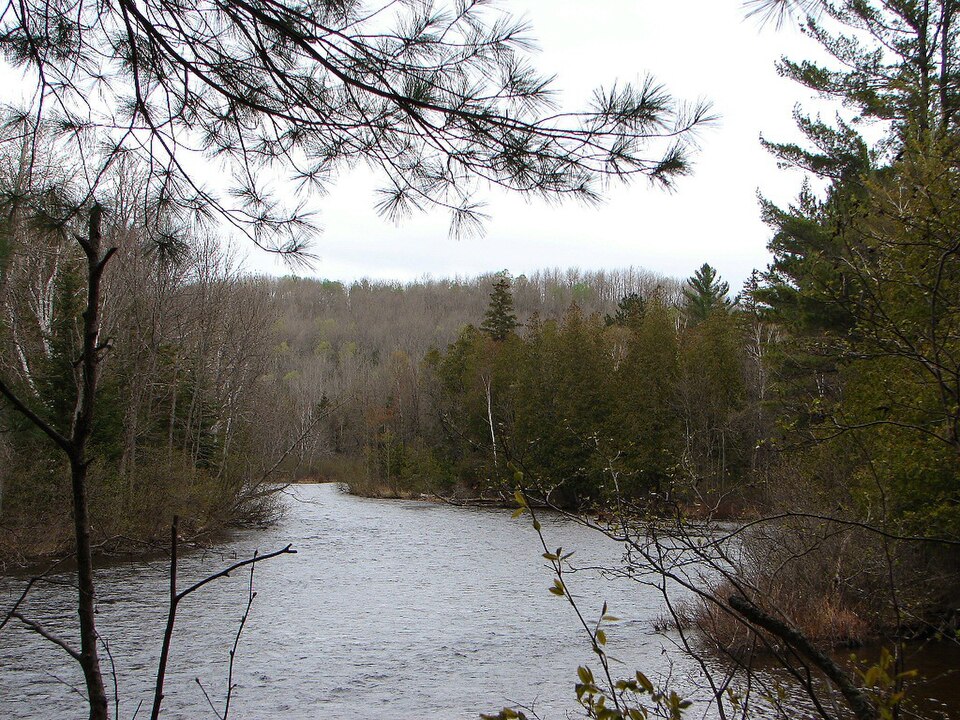 Opeongo River