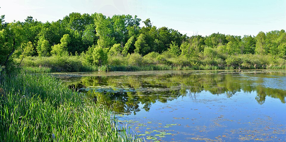 Heart Lake Conservation3