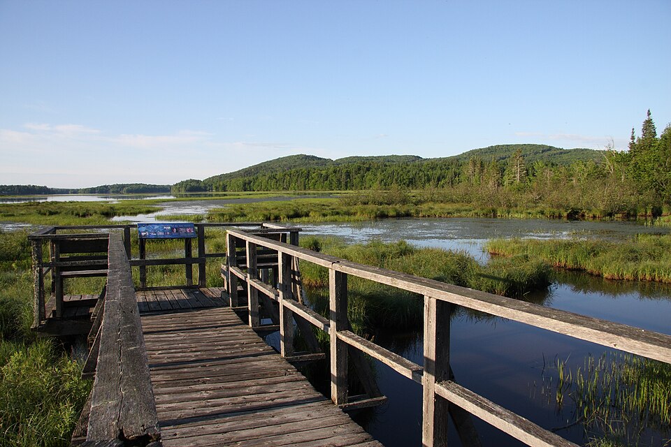 Marais du Nord 1