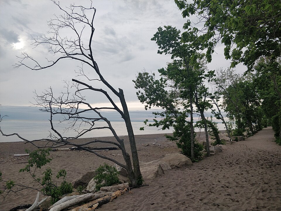 Beach tip point pelee