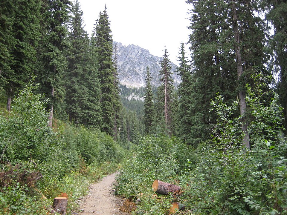 Kokaneeglacierprovpark