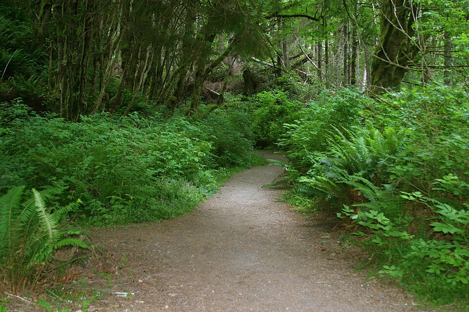 Path at French Beach Park - panoramio