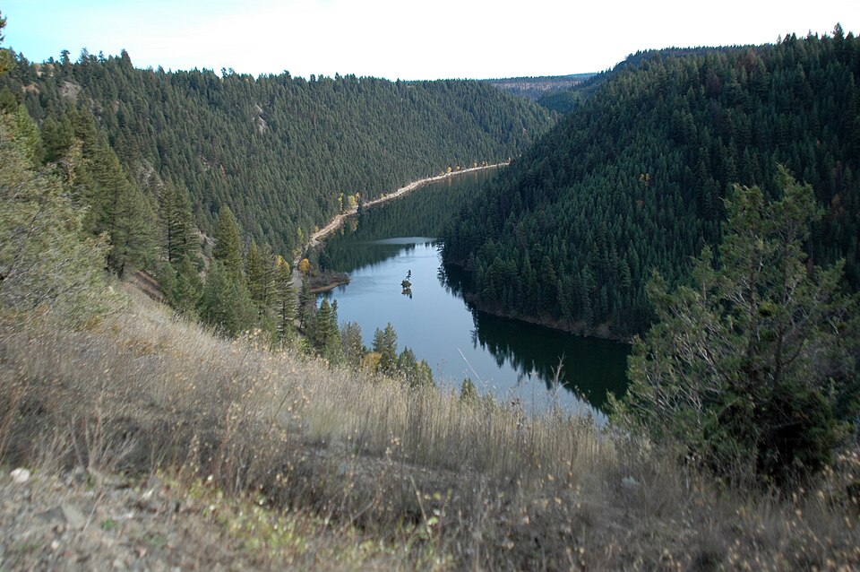 Vidette lake