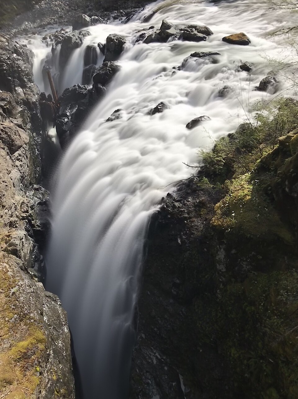 Englishman River Falls Provincial Park