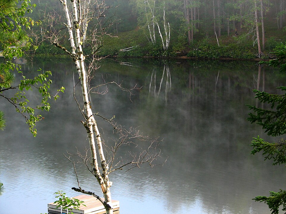 Lake St Peter (47546451)
