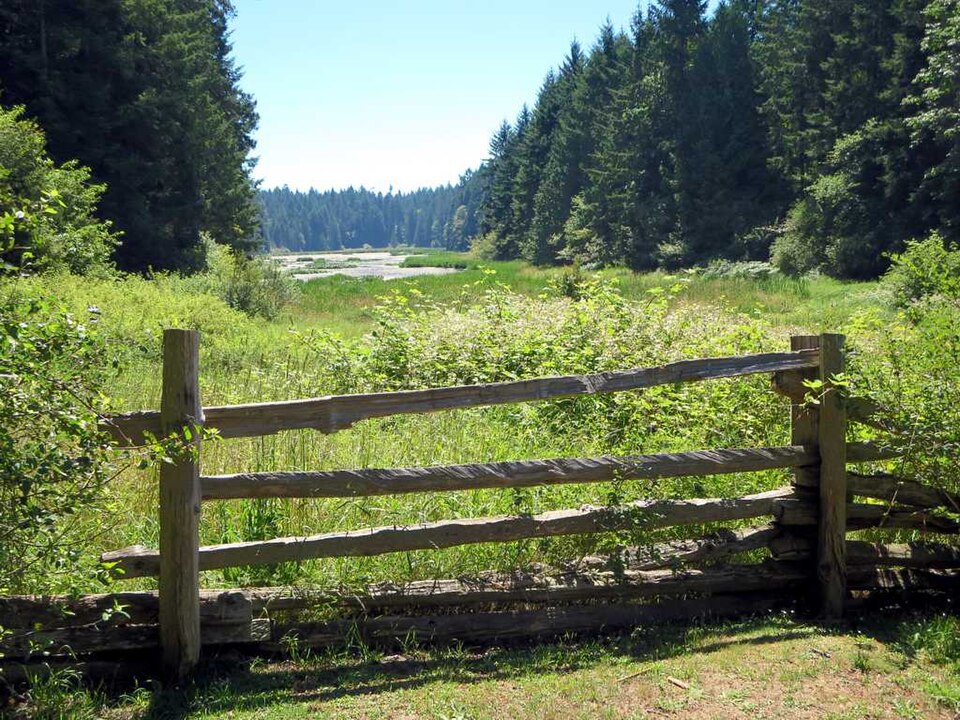 Hemer Provincial Park (9457280183)