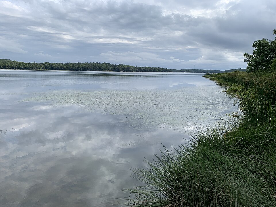 Lac Rouyn
