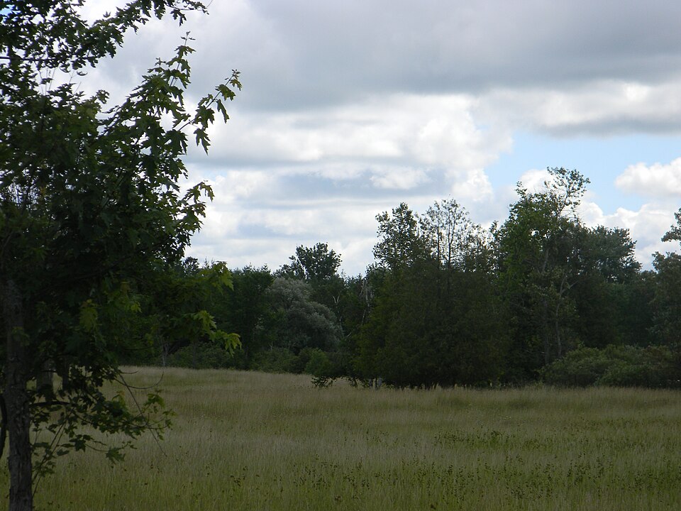 006Little Lake, Puslinch, Ontario