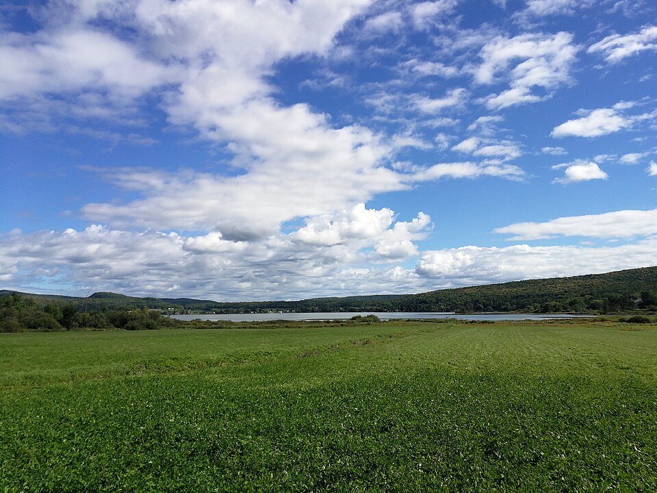 Lac Mandeville