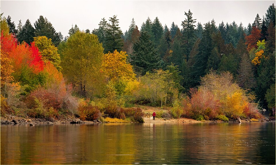 Fall colours at Sproat Lake