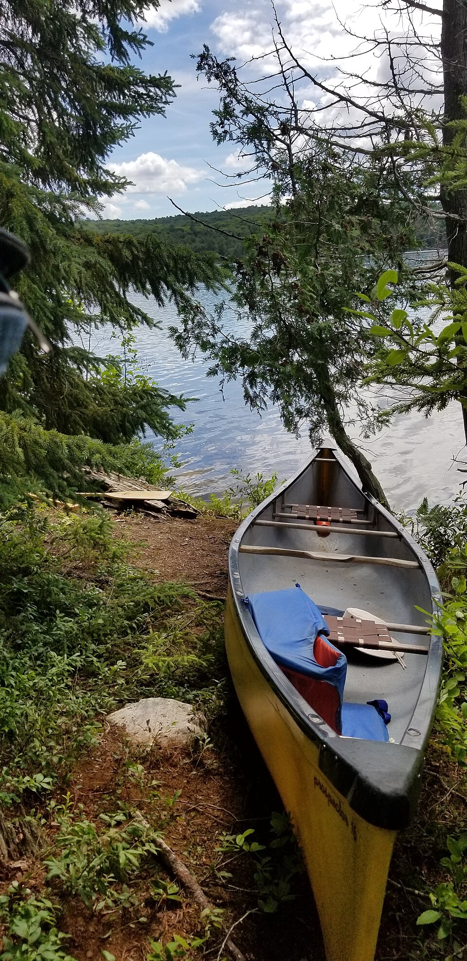 Summertime View of Flack Lake