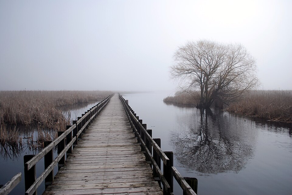 Boardwalk in Pelee