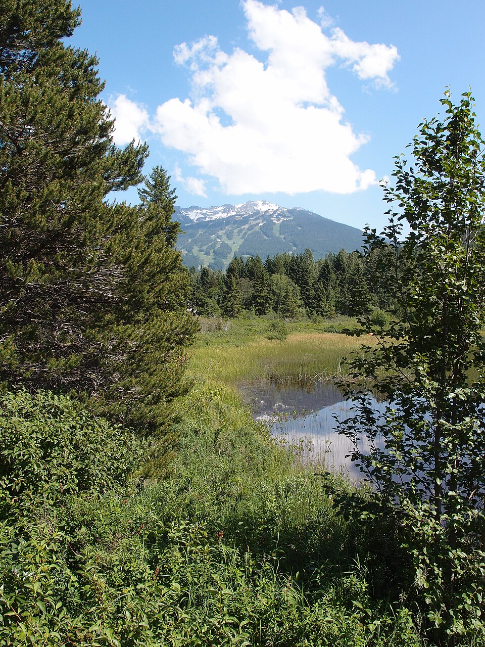 Alta Lake @ Whistler (7611534728)