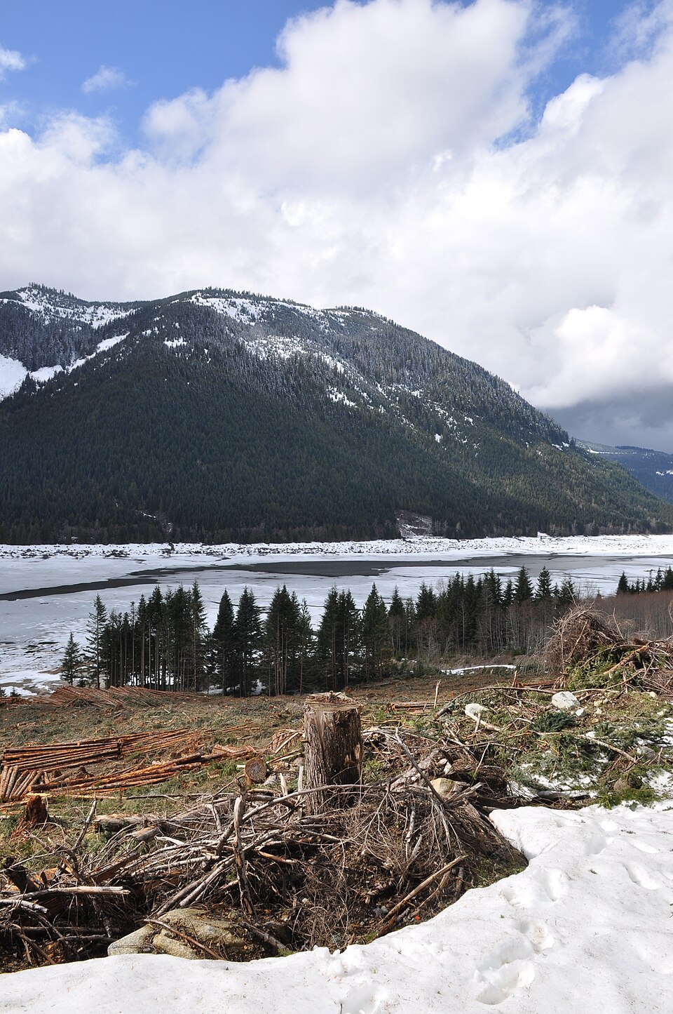 Wahleach Lake