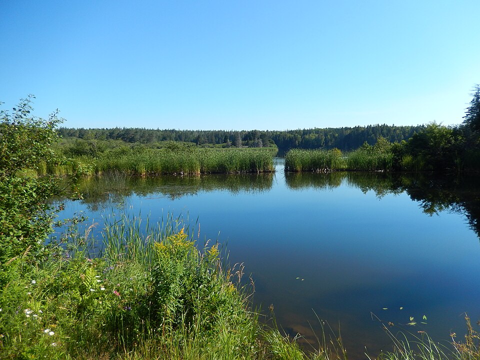 Chignecto National Wildlife Area 04