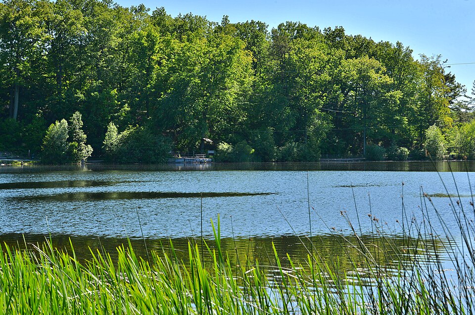 Heart Lake Conservation2