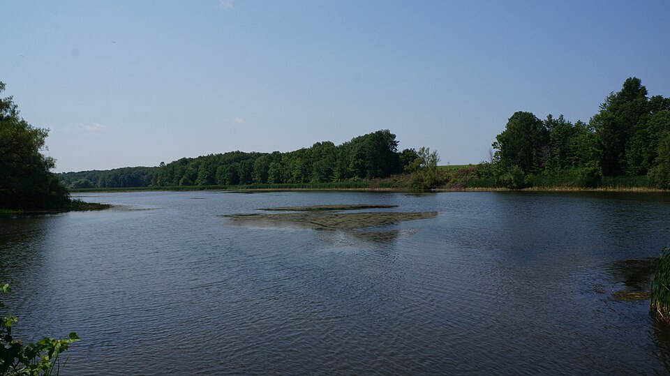 Cargill Park - Cargill, ON