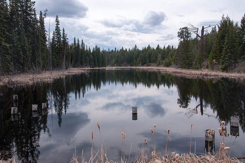 Roe Lake (14383908404)