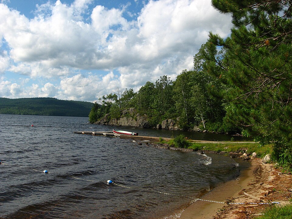 Driftwood PP beach