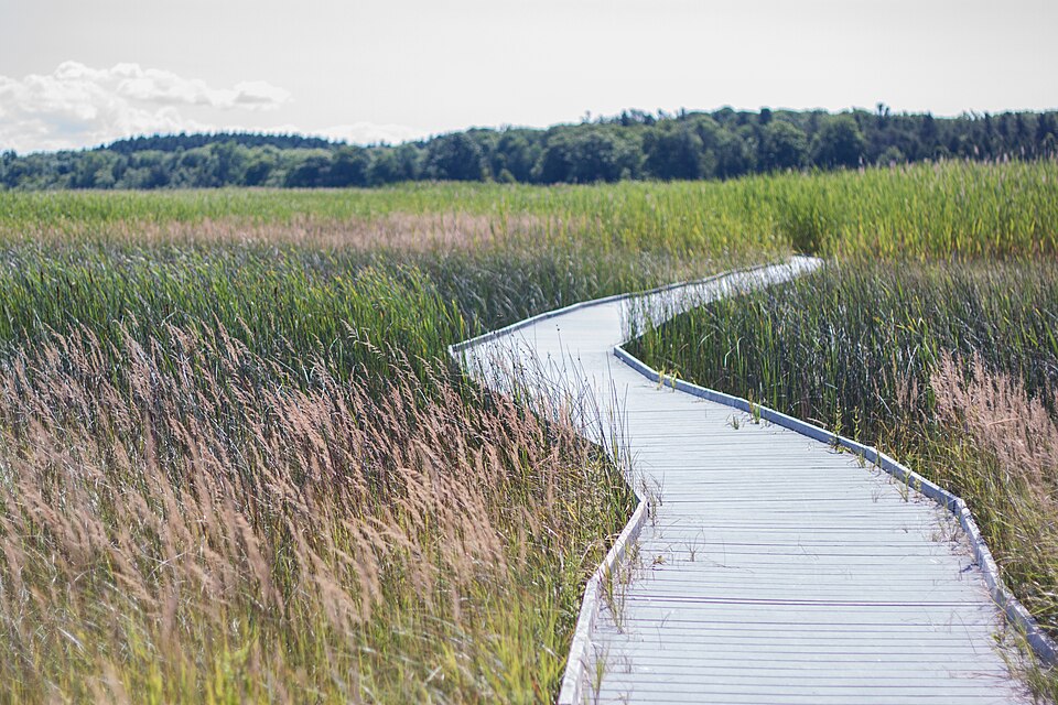 Presqu'ile20