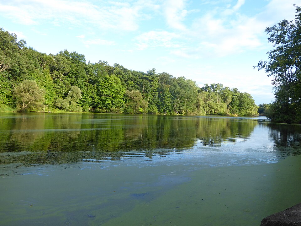 Mill Pond (50358329676)