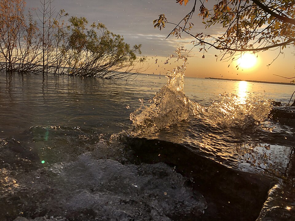 Craigleith am swim!