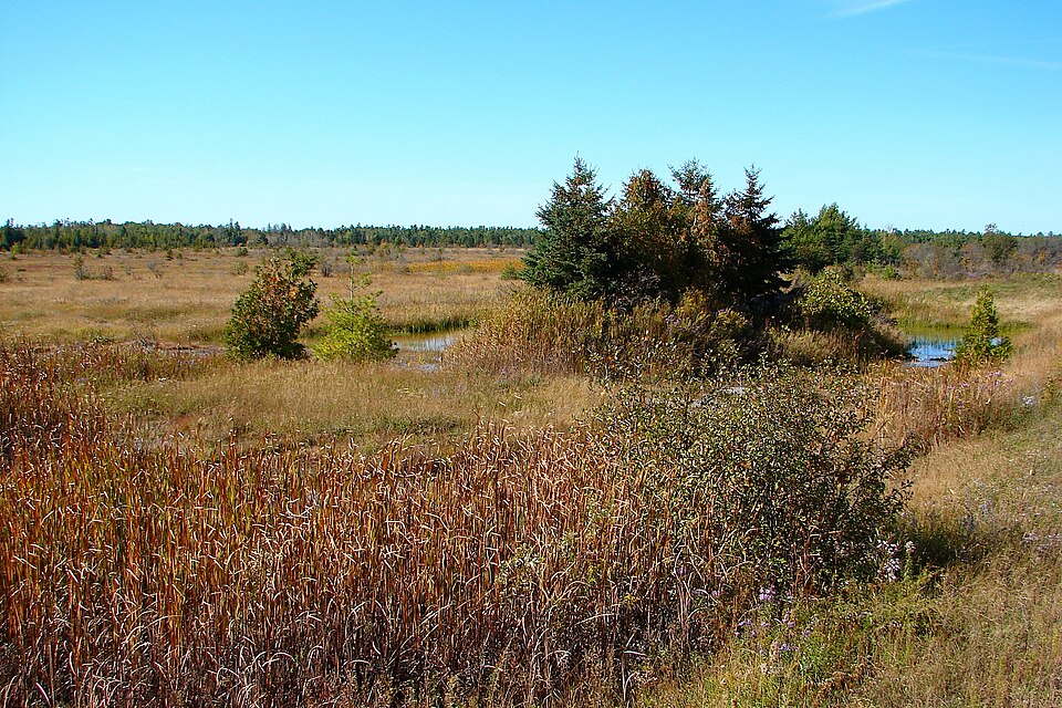 Burnt Lands PP