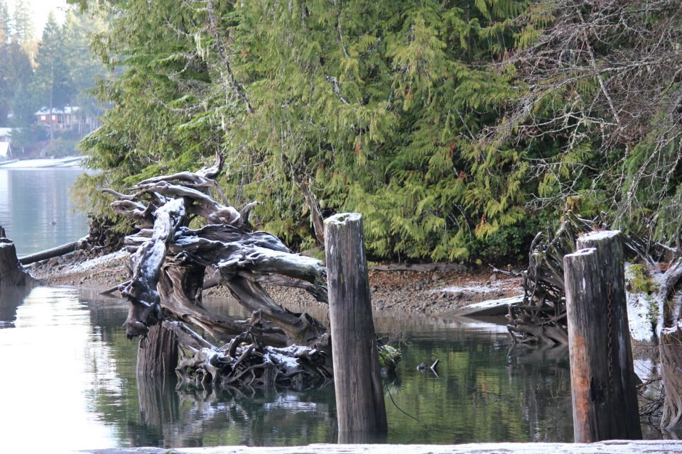 Comox lake (21462884223)