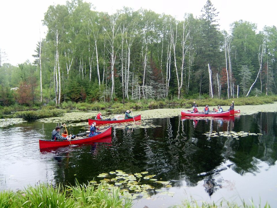 Bark lake