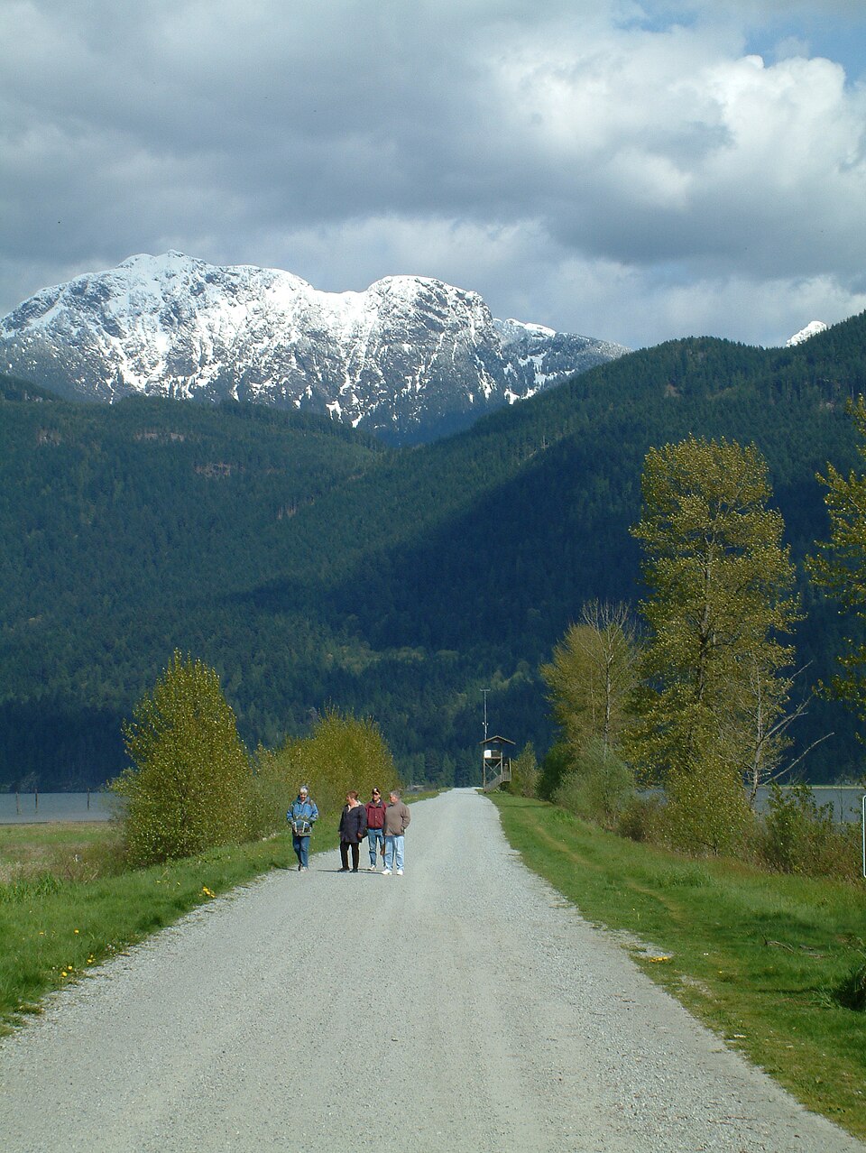 Pitt Lake 007