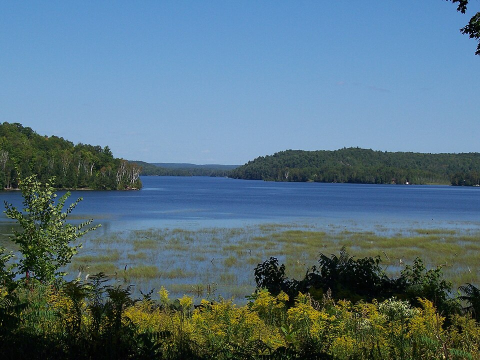 Limerick Lake