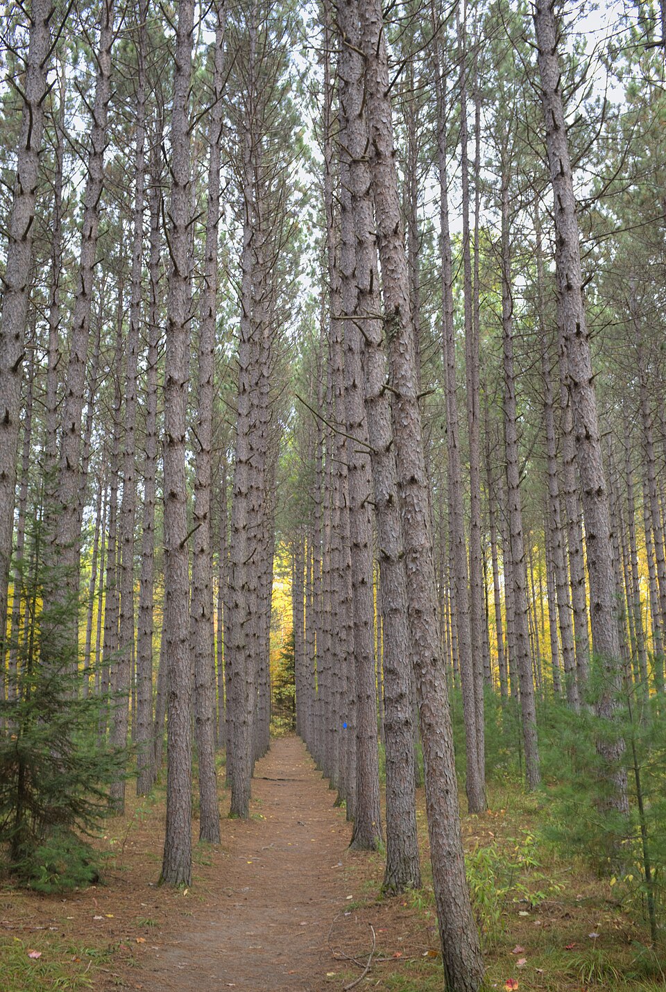 Restoule Provincial Park 02